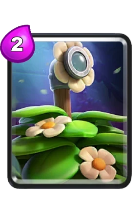 Suspicious Bush card in Clash Royale